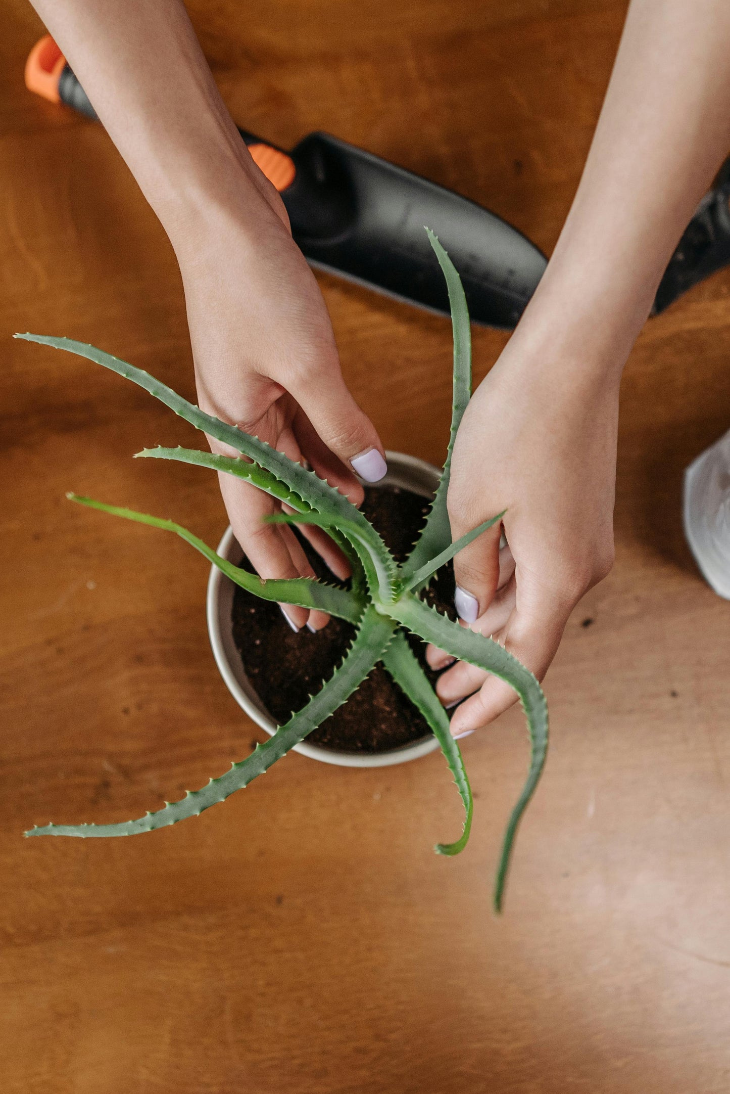 Home Consultation (or virtual)