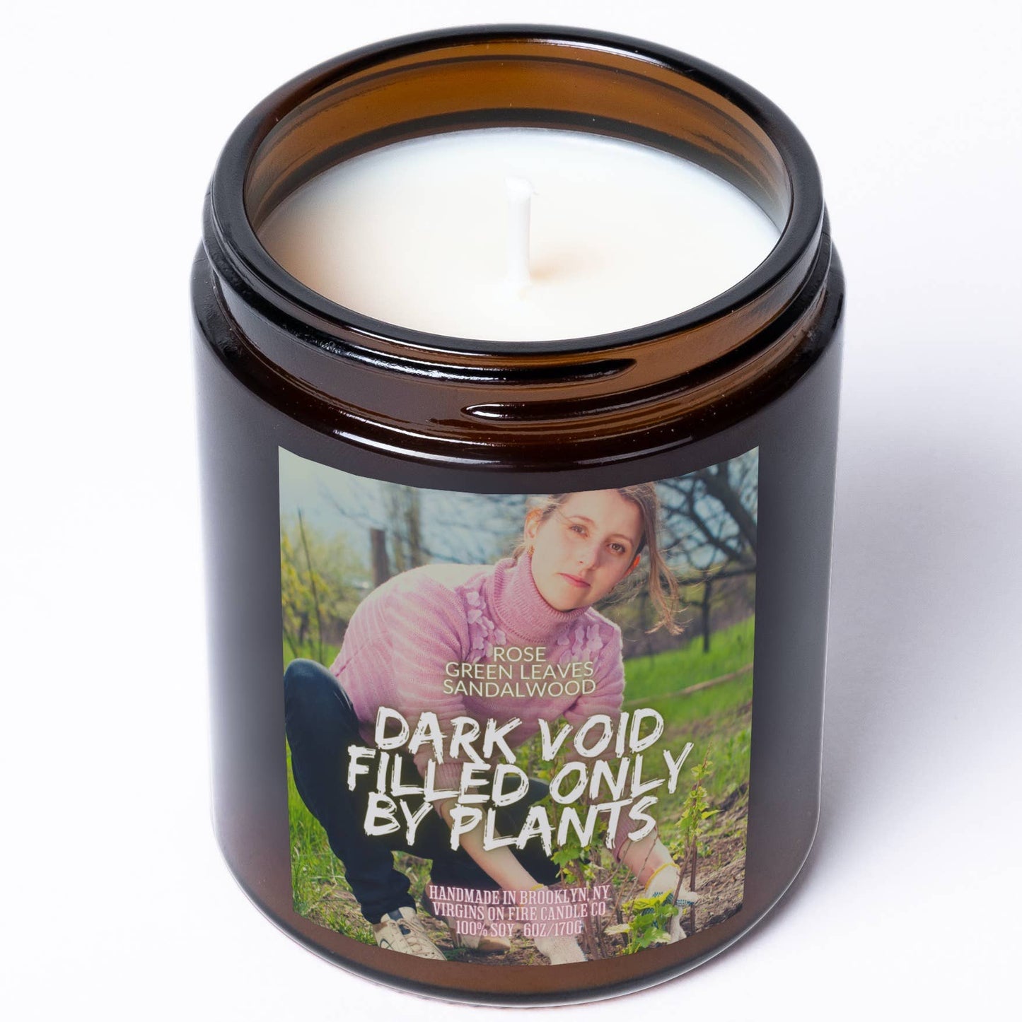 DARK VOID FILLED ONLY BY PLANTS (Amber & Rose) 🪴 Soy Candle