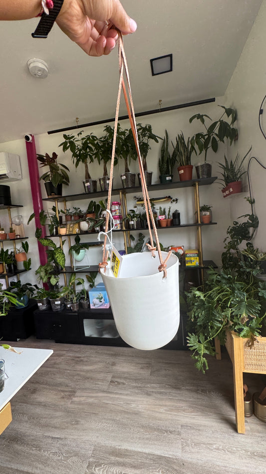 Doni Plant Hanger