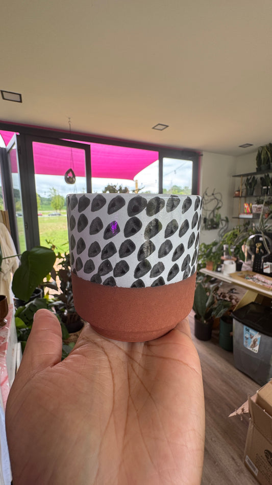 Lassen Pot